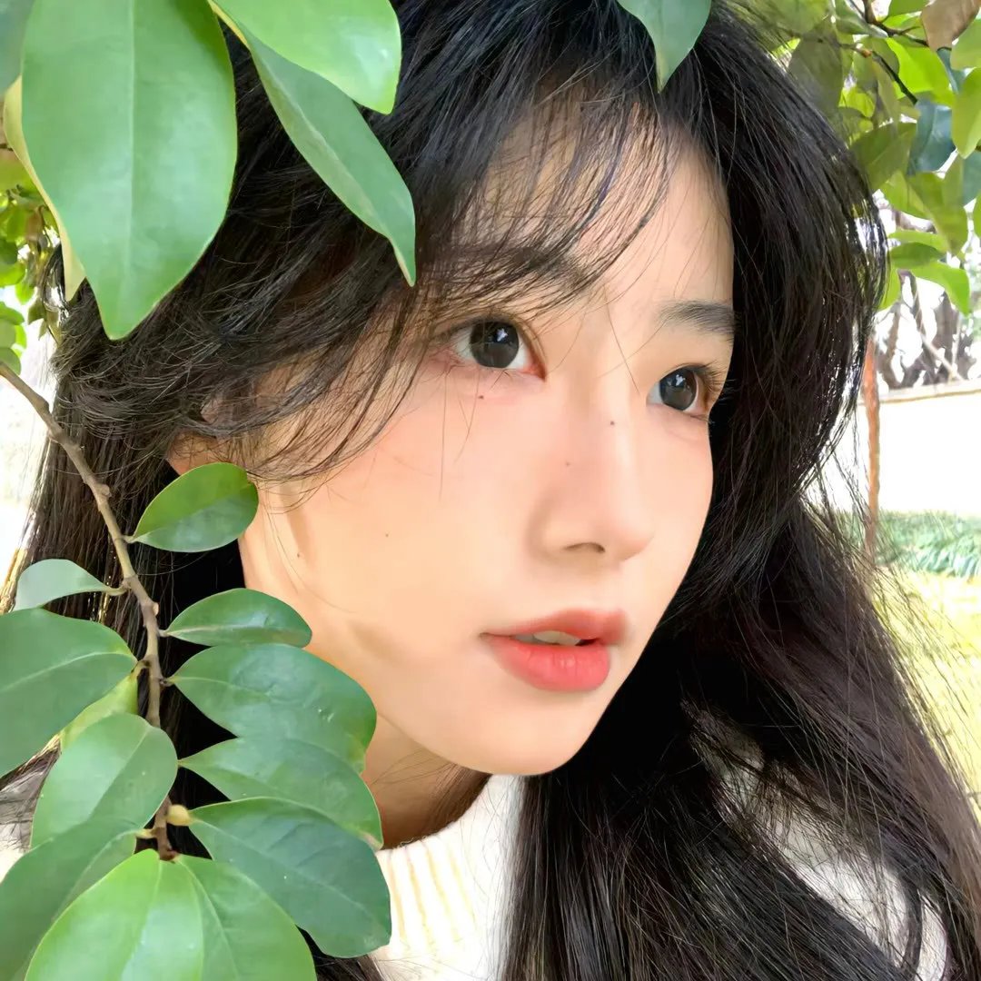 爱的航线